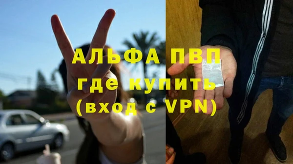 стаф Арсеньев