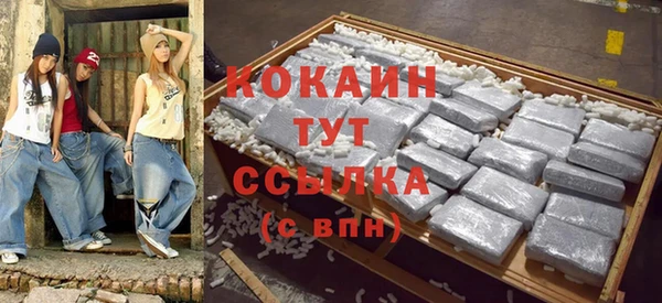 сатива Аркадак