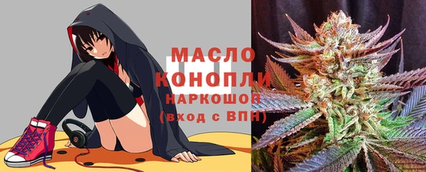 стаф Арсеньев