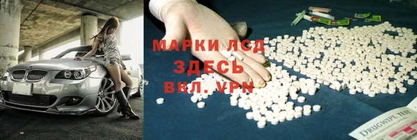 стаф Арсеньев