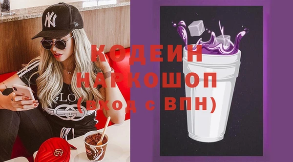 сатива Аркадак