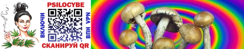 Псилоцибиновые грибы GOLDEN TEACHER  Ростов 
